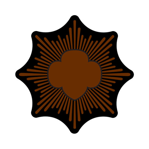 Bronze Award Girl Scouts